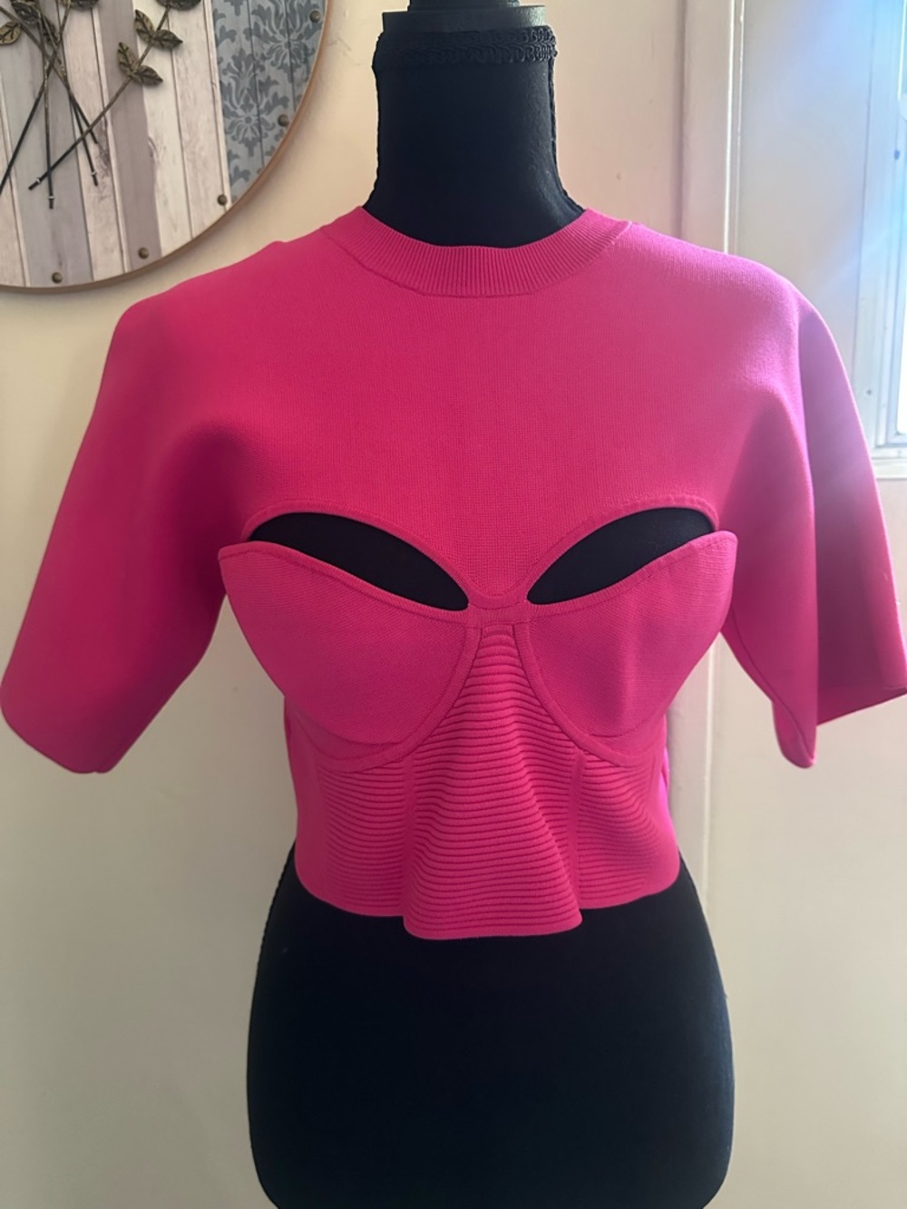Herve Leger Fuchsia Sculpted Bust Crop Top